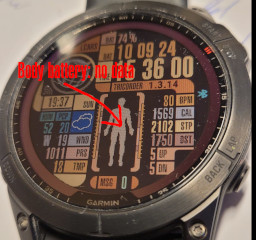 body battery no data (light gray)